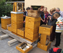 tierpark bienenstand